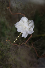 Load image into Gallery viewer, Everblooms Accessories - Angle White Preserved Hydrangea Hair Pin
