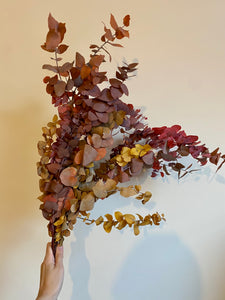 Everblooms - Preserved Eucalyptus Bunch (Autumn Colours)